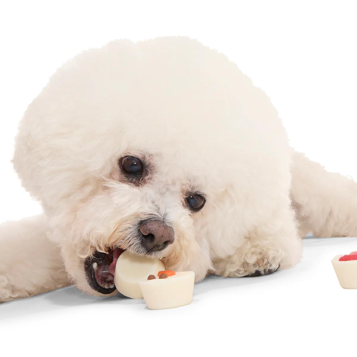 Christmutts Treat Cups - Image 3