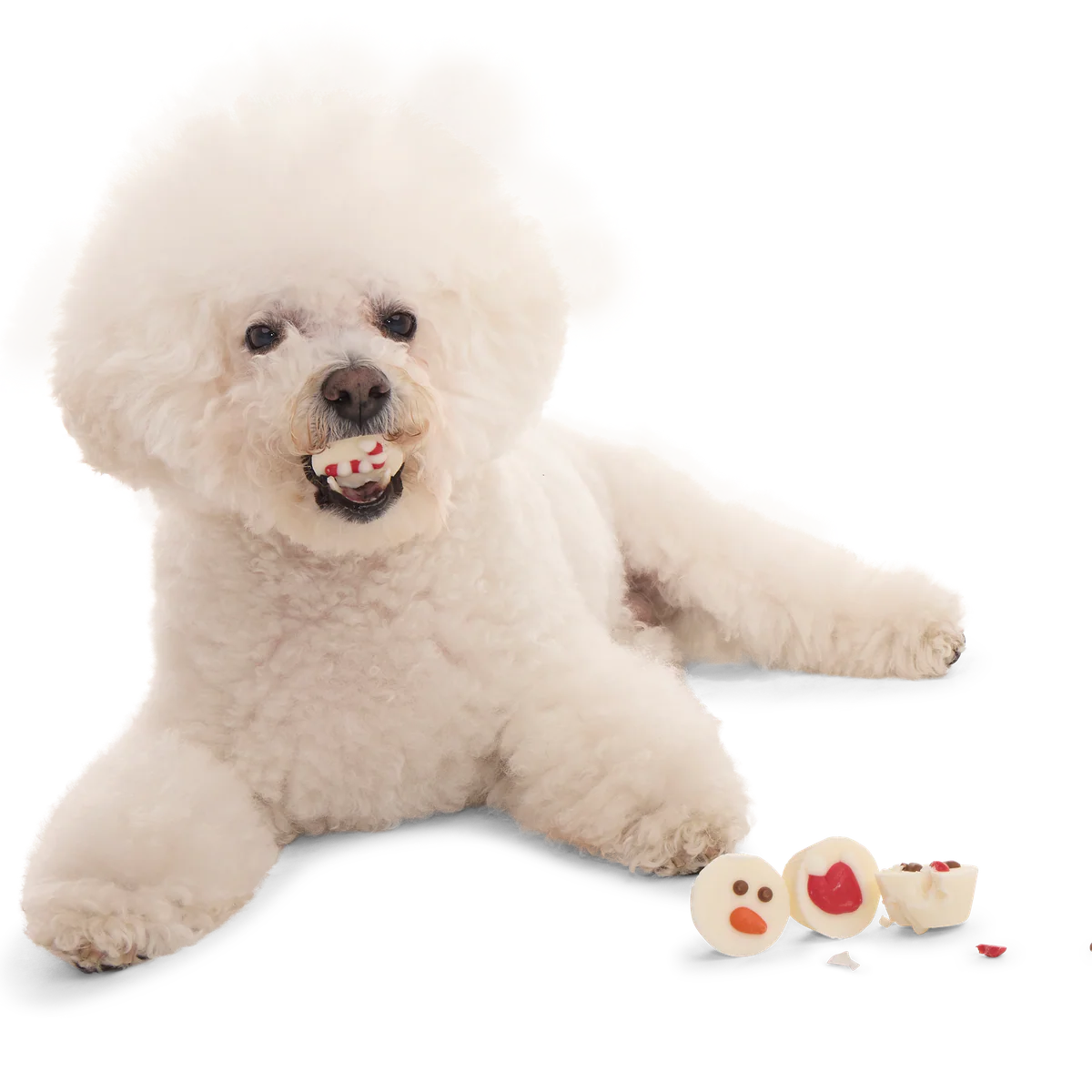 Christmutts Treat Cups - Image 4