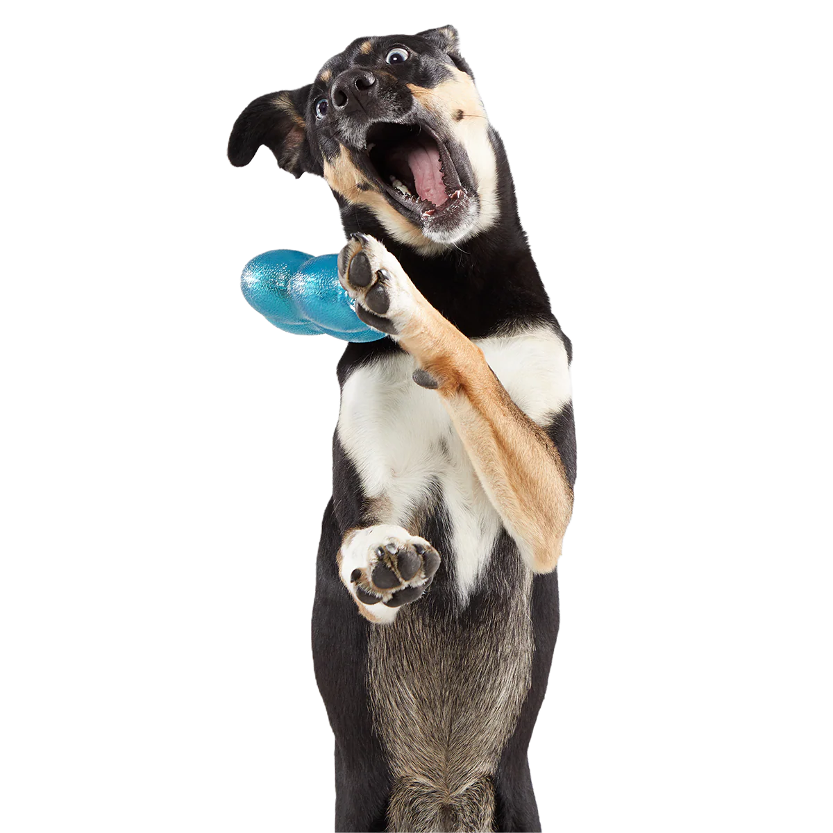 Treat Giver River Super Chewer Durable Enrichment Dog Toy - Image 5