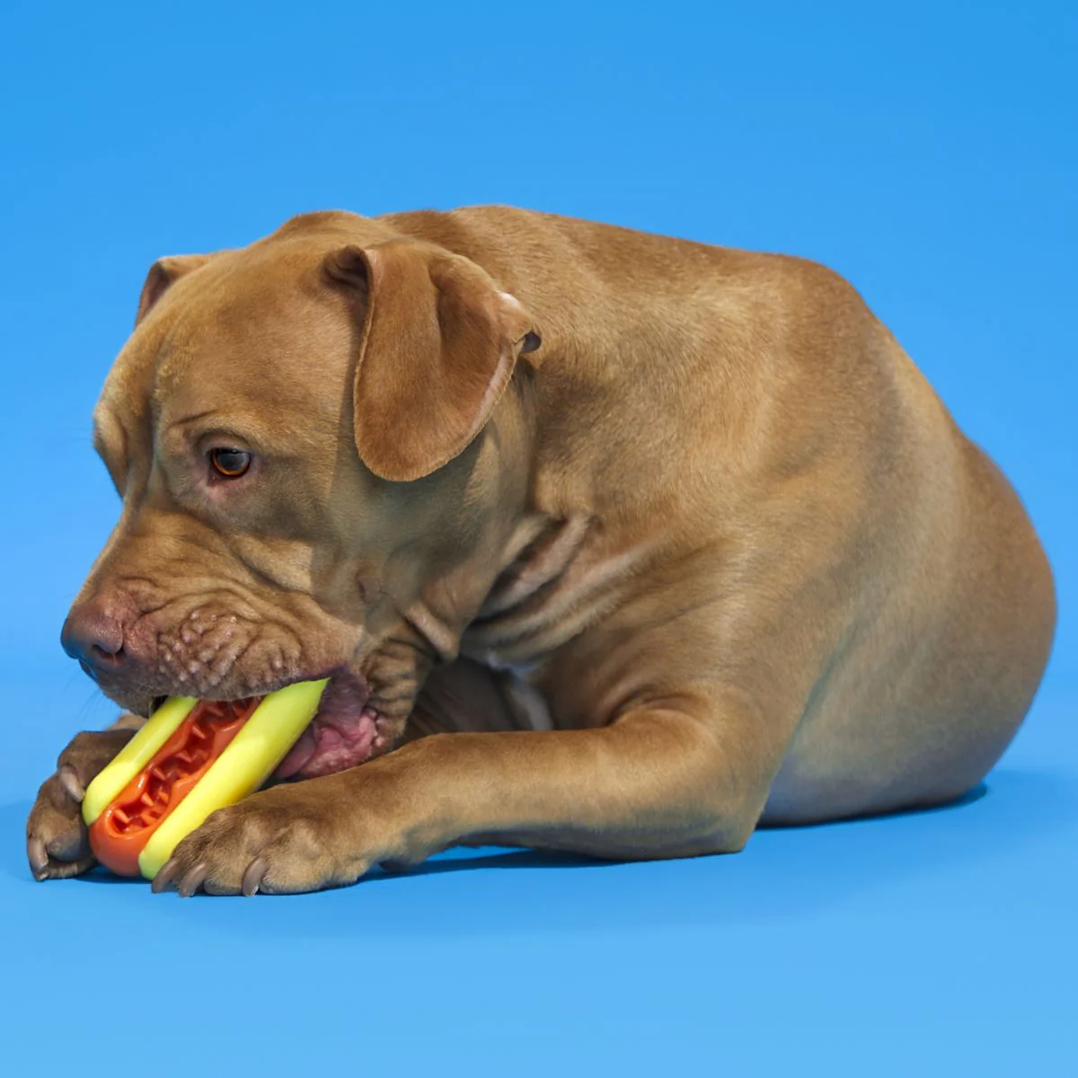 Treat Meat Hotdog Super Chewer Durable Enrichment Dog Toy - Image 2