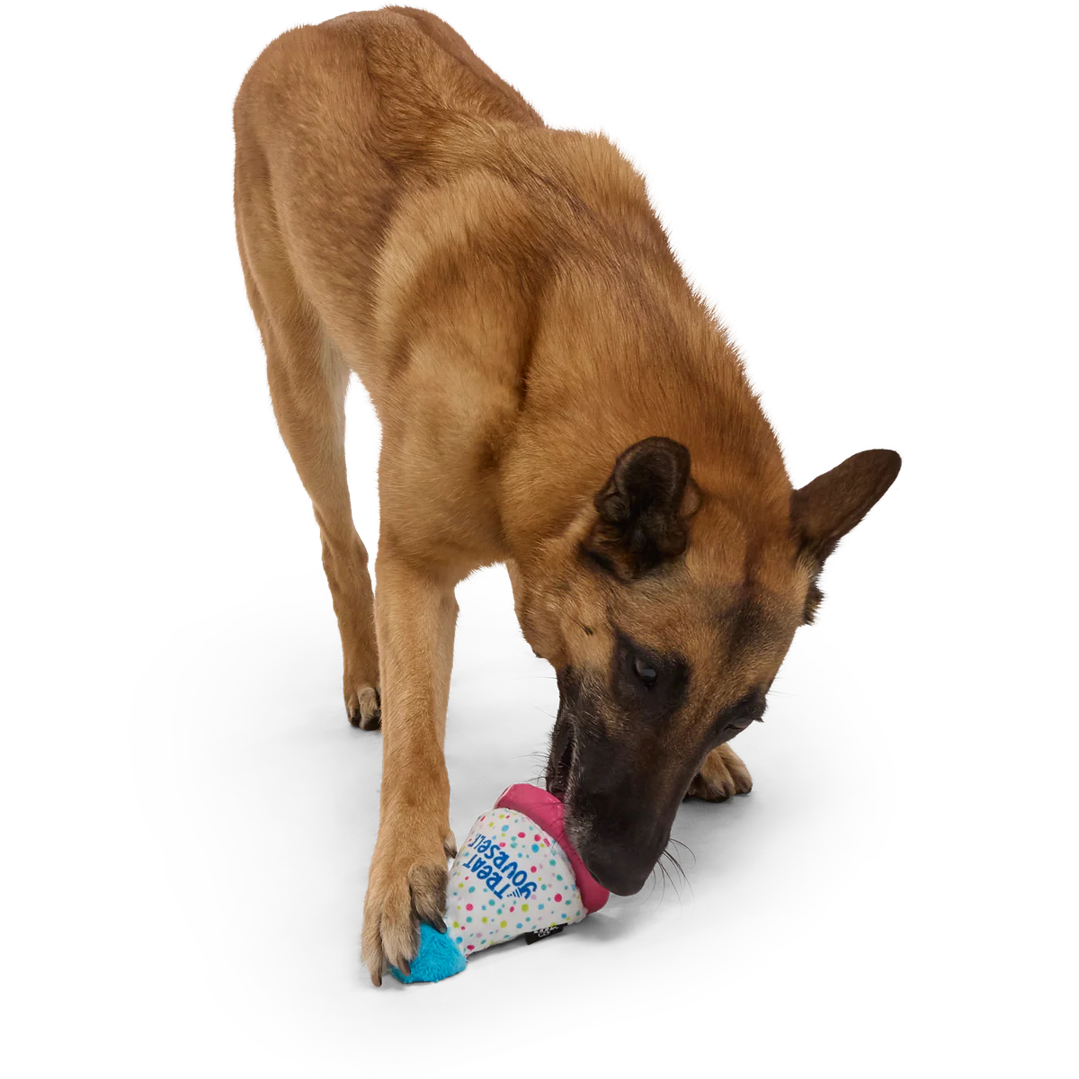 Treat Yourself Party Hat Durable Super Chewer Dog Toy - Image 4
