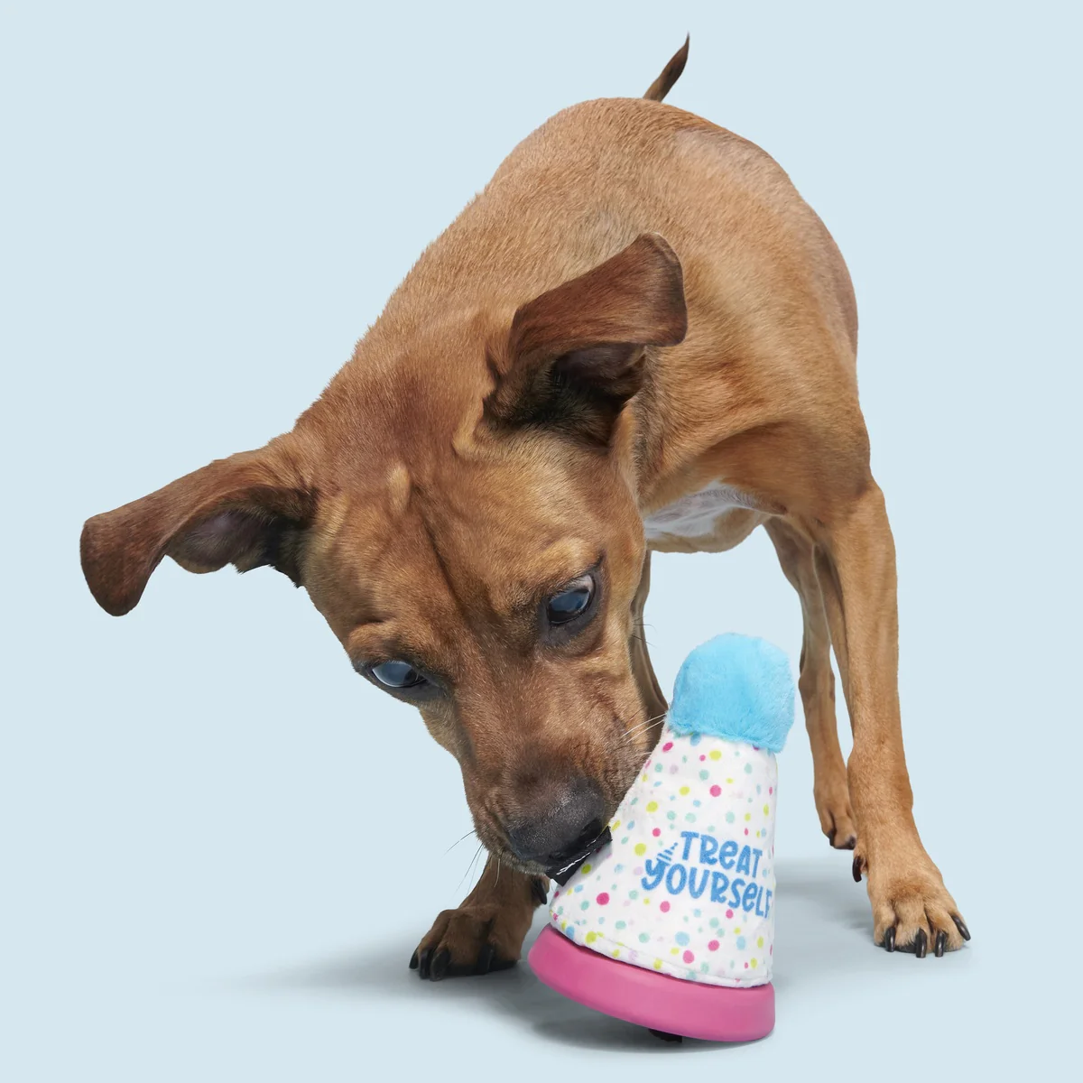 Treat Yourself Party Hat Durable Super Chewer Dog Toy - Image 5