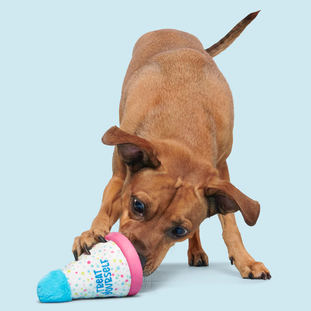 Treat Yourself Party Hat Durable Super Chewer Dog Toy - Image 6