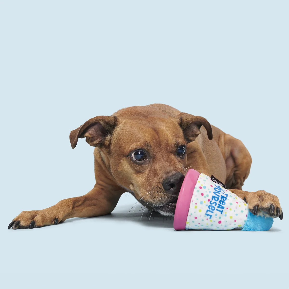 Treat Yourself Party Hat Durable Super Chewer Dog Toy - Image 7
