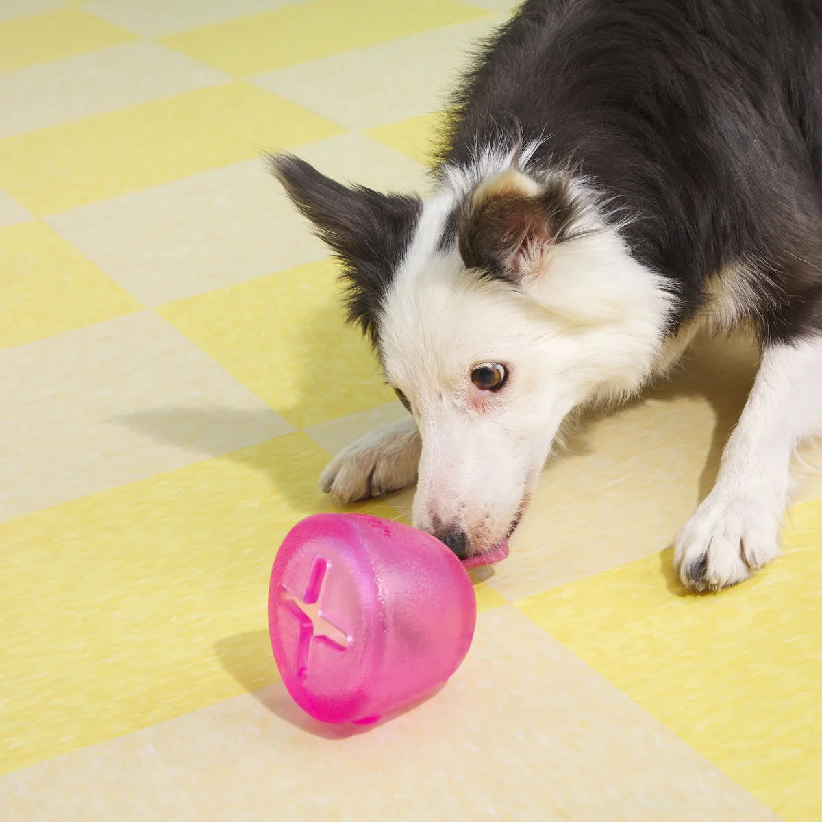 Treats n' Sweets Gumdrop Super Chewer Durable Enrichment Dog Toy - Image 2