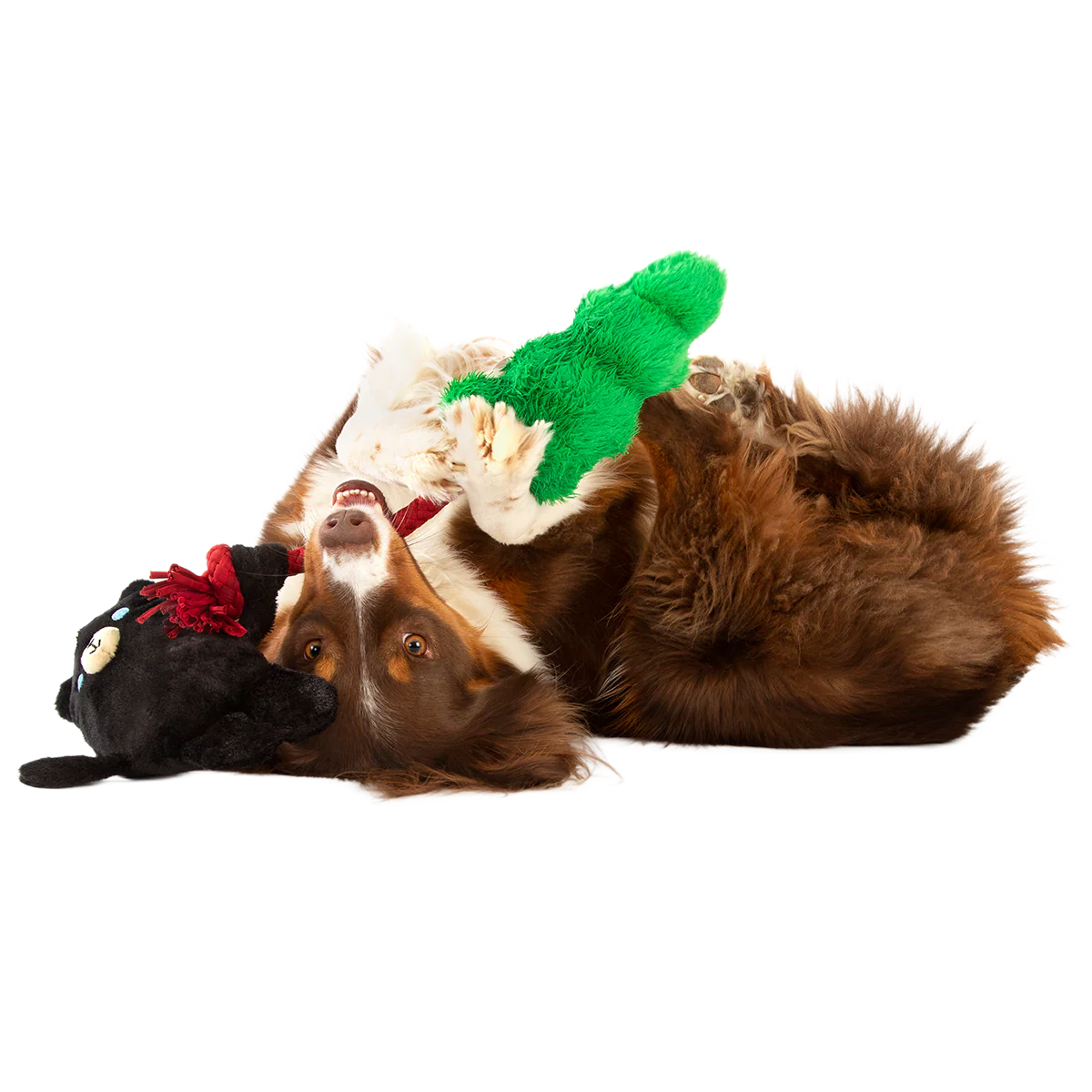 Tree Huggin’ Terry Plush Tug Dog Toy - Image 3