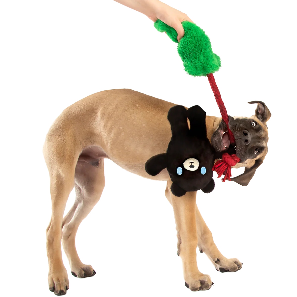 Tree Huggin’ Terry Plush Tug Dog Toy - Image 5