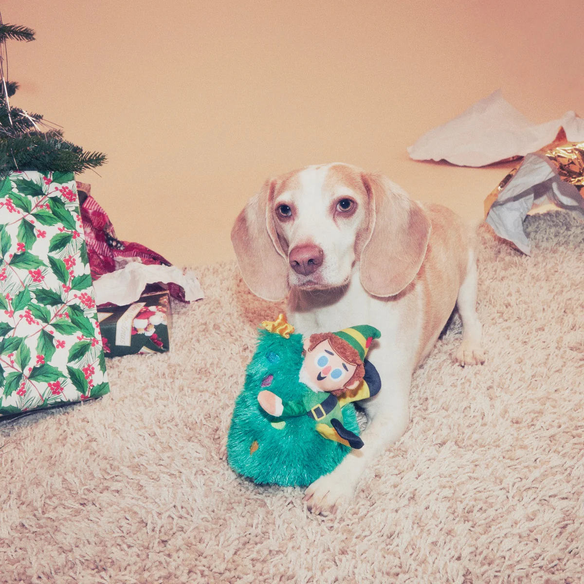 Tree Topper Buddy™ Plush Dog Toy - Image 2