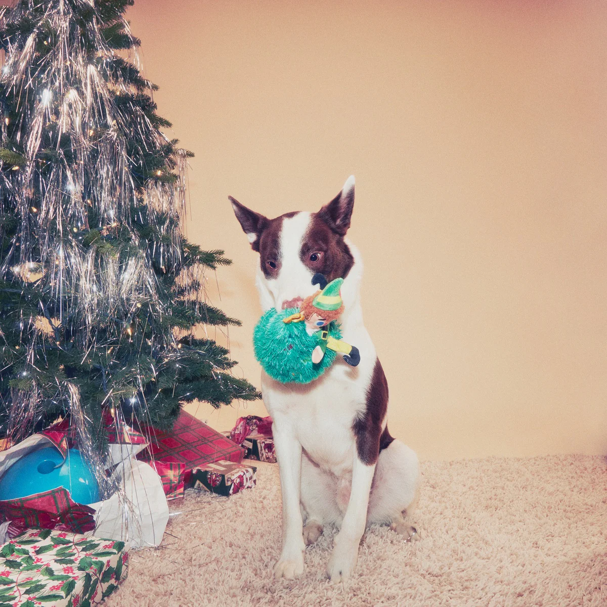 Tree Topper Buddy™ Plush Dog Toy - Image 4