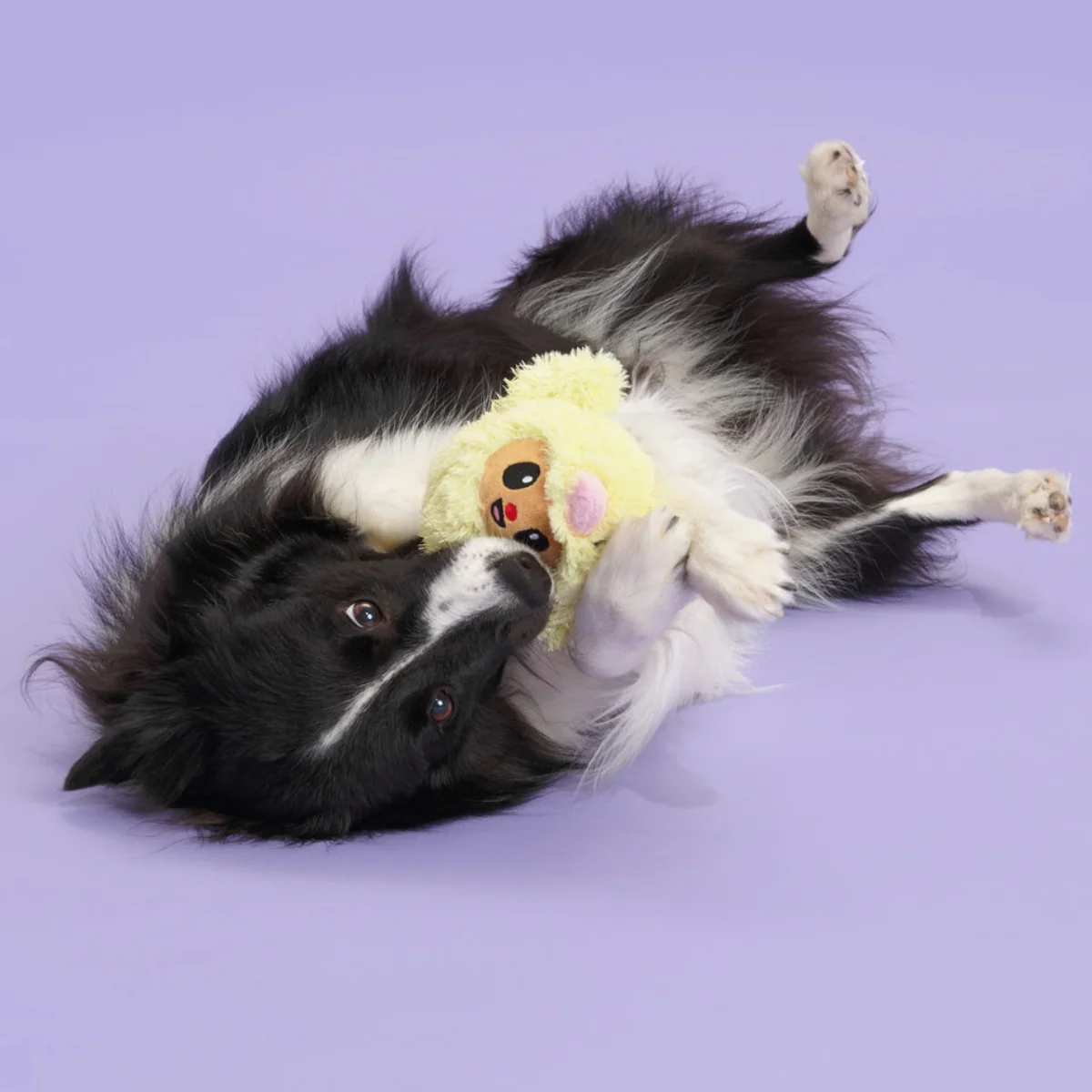 Trixie the Tricky Chicky Plush Dog Toy - Image 2
