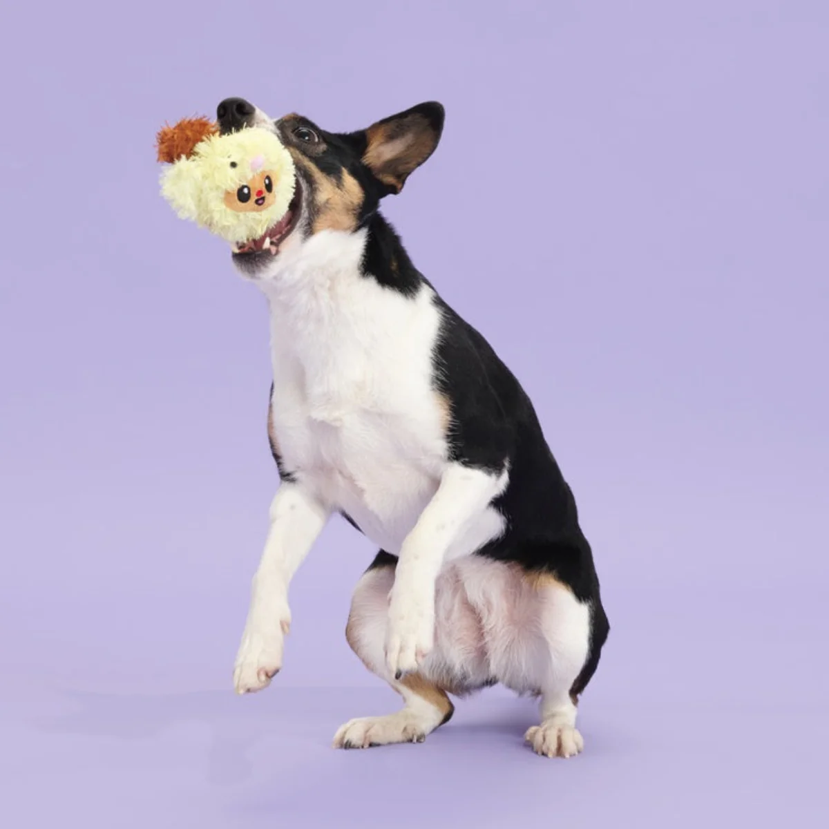 Trixie the Tricky Chicky Plush Dog Toy - Image 3