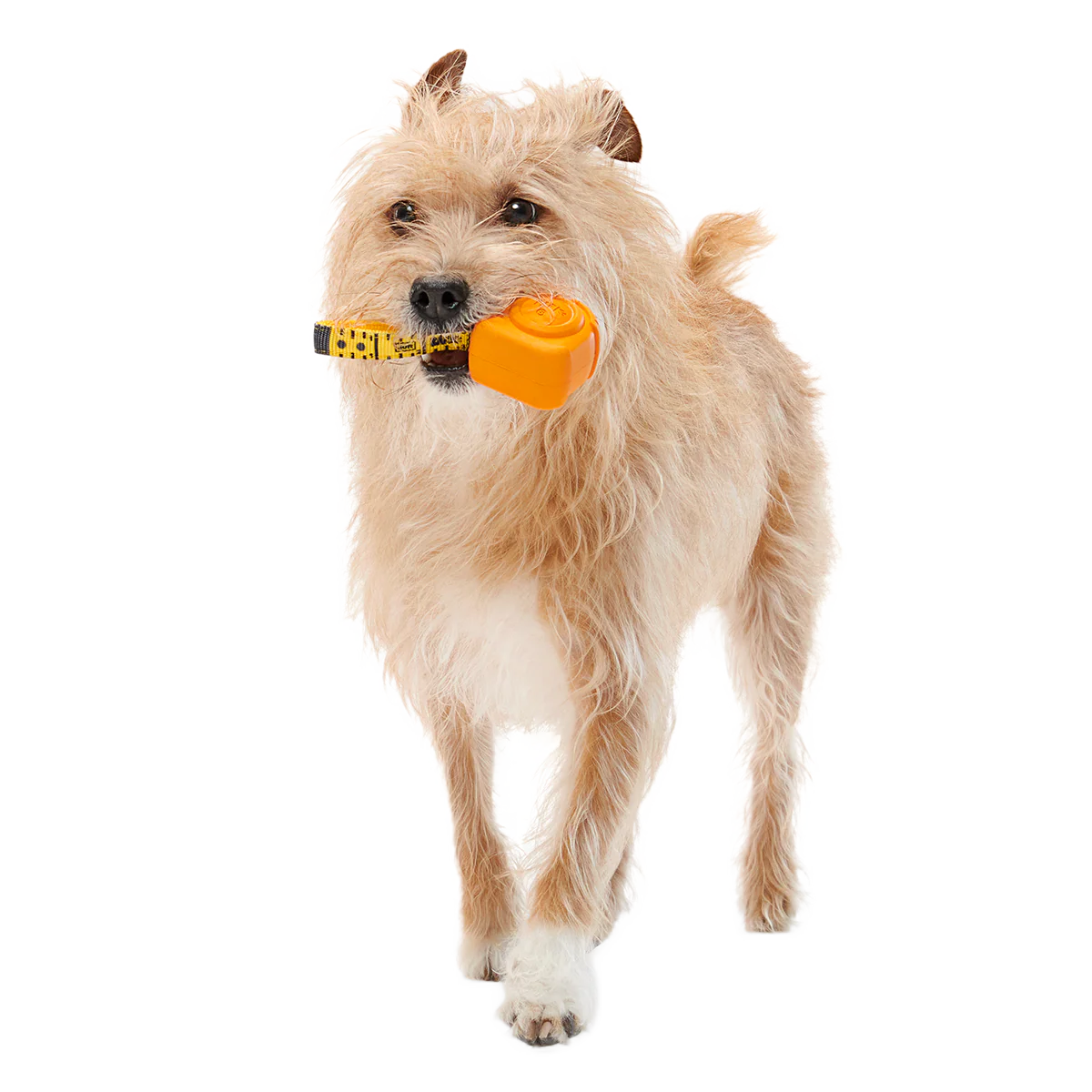 Tug Measure Super Chewer Durable Dog Toy - Image 3