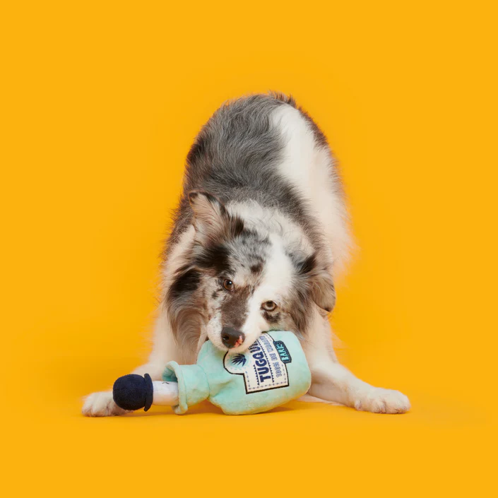 Tug-o-Worm Tugquila Plush Tug Dog Toy - Image 4