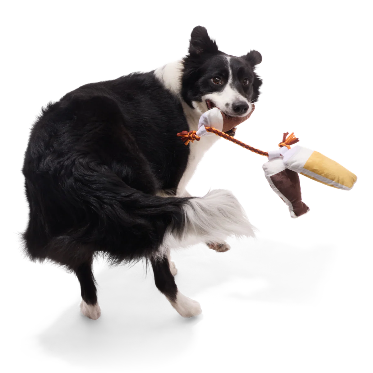 Tug-of-Beers Plush Tug Dog Toy - Image 4