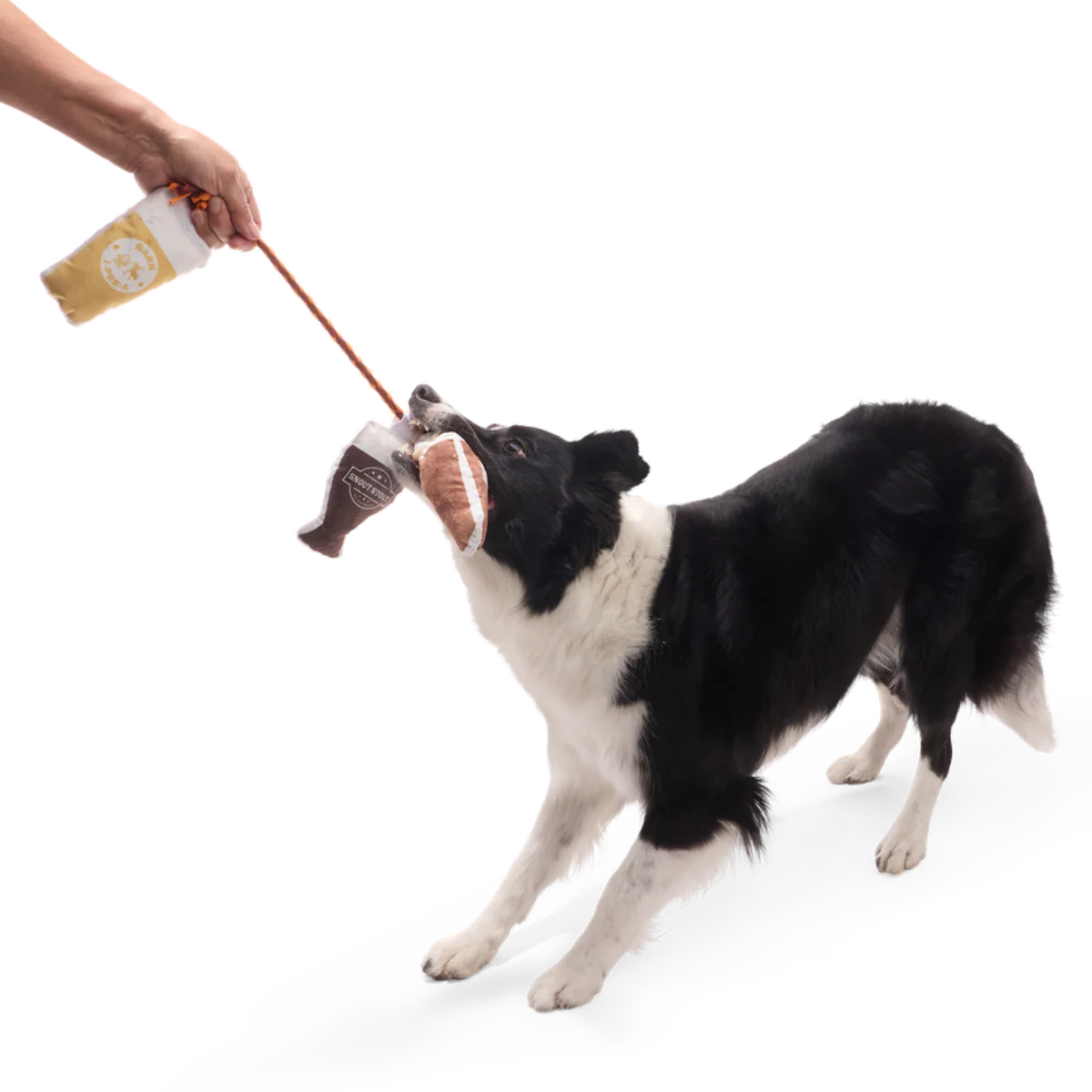 Tug-of-Beers Plush Tug Dog Toy - Image 5