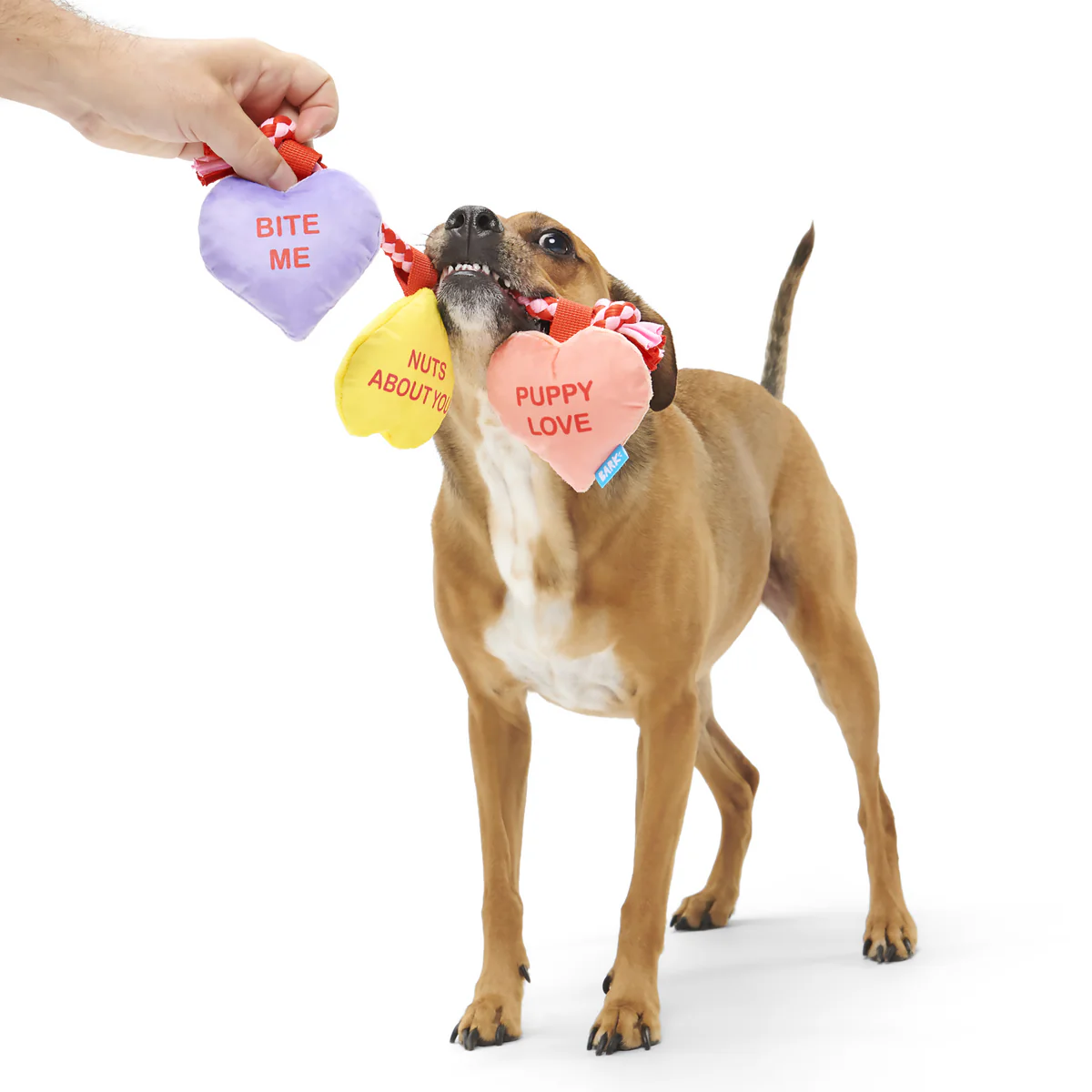 Tuggin' Heart Strings Plush Tug Dog Toy - Image 2