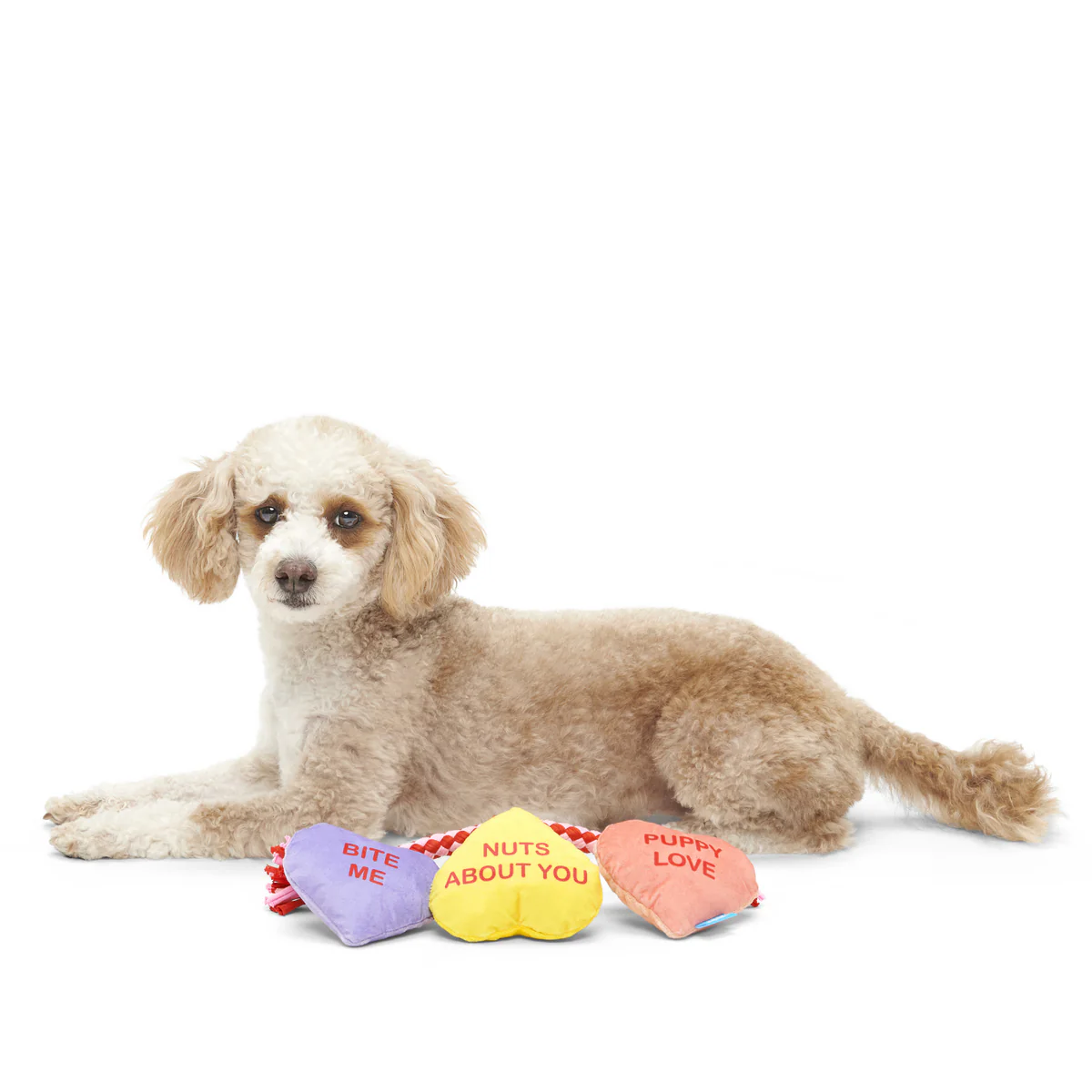 Tuggin' Heart Strings Plush Tug Dog Toy - Image 3