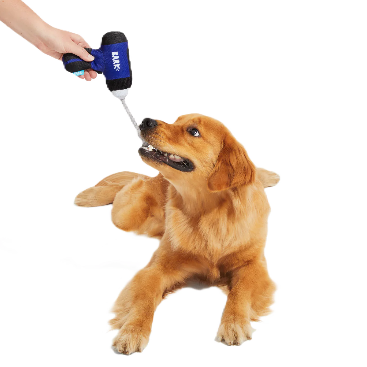 Tuggin’ Impact Drooler Plush Tug Dog Toy - Image 3