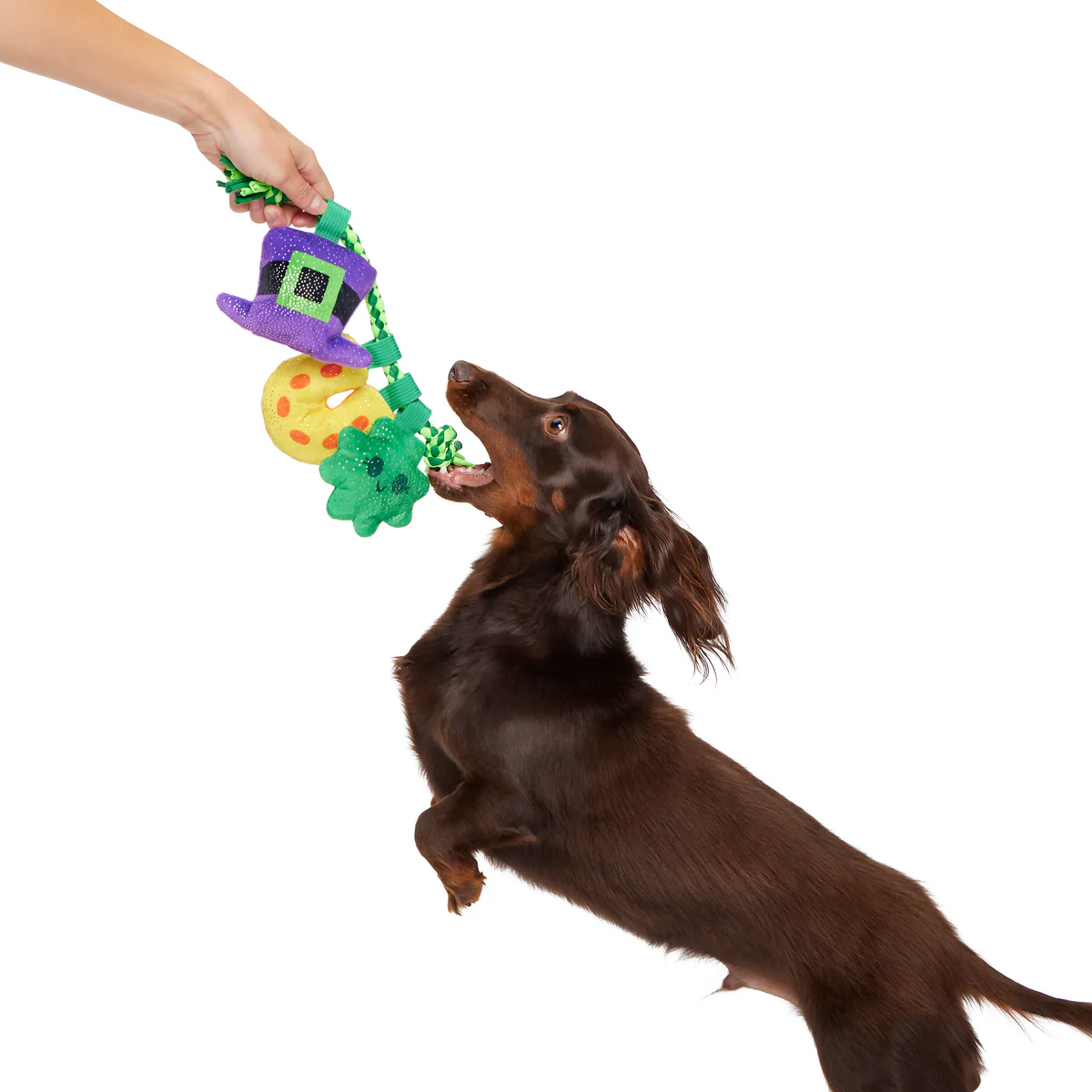 Tuggy Charms Plush Tug Dog Toy - Image 3