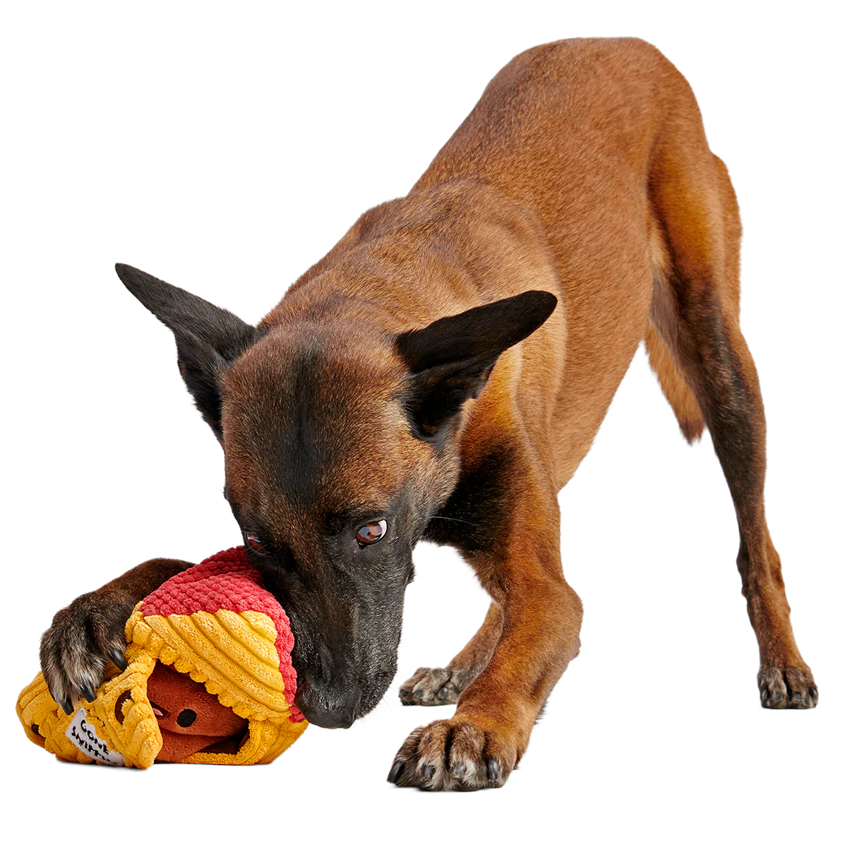Turdbert's Snouthouse Plush Multi-Part + Enrichment Dog Toy - Image 5