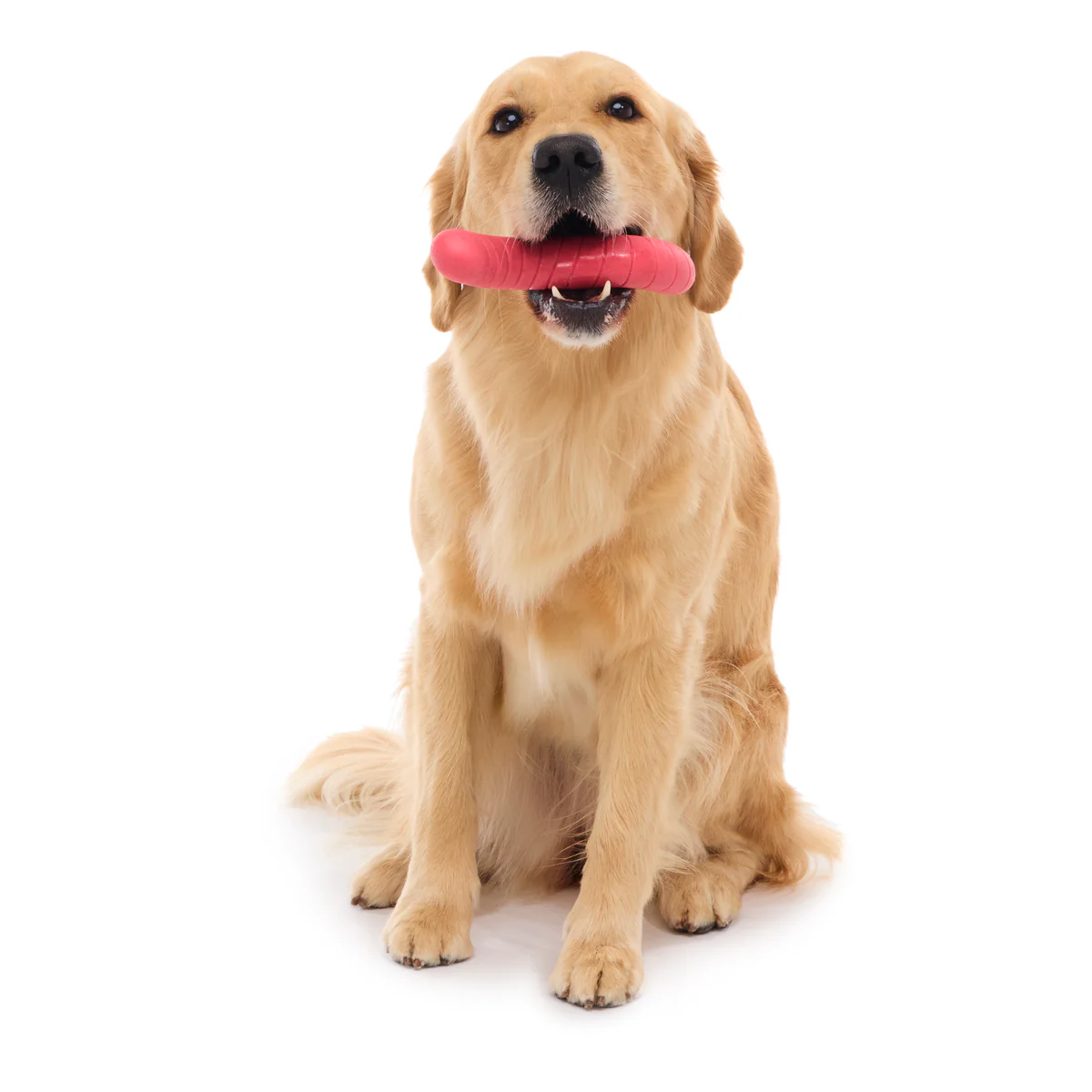 Turf Worm Durable Super Chewer Gnaw Dog Toy - Image 2
