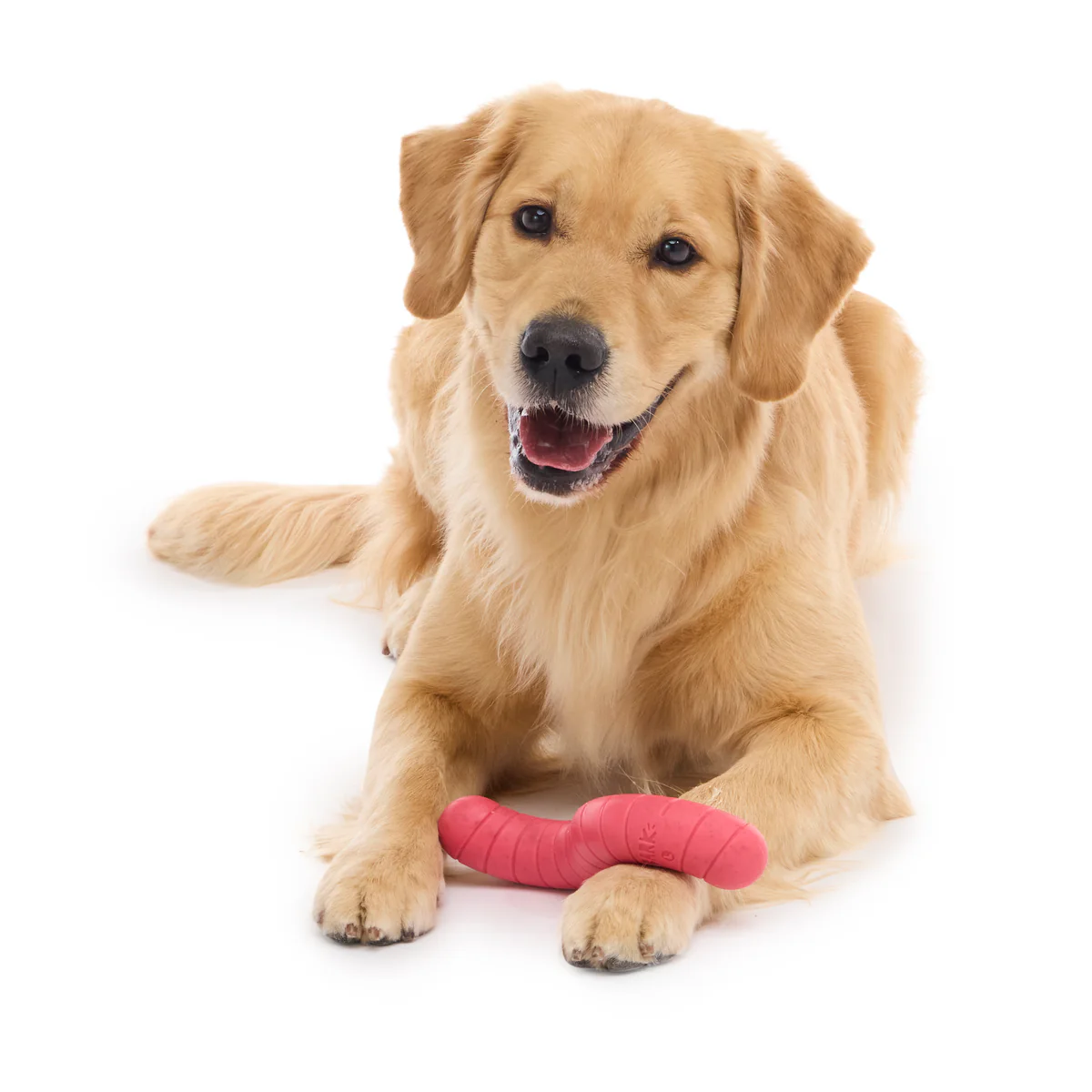 Turf Worm Durable Super Chewer Gnaw Dog Toy - Image 3