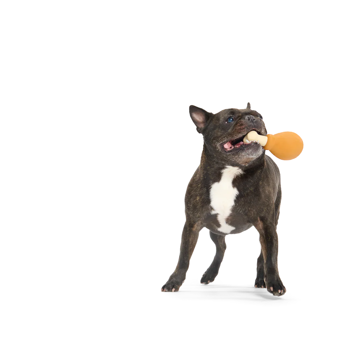 Turkey Day Drumstick Durable Super Chewer Gnaw Dog Toy - Image 3