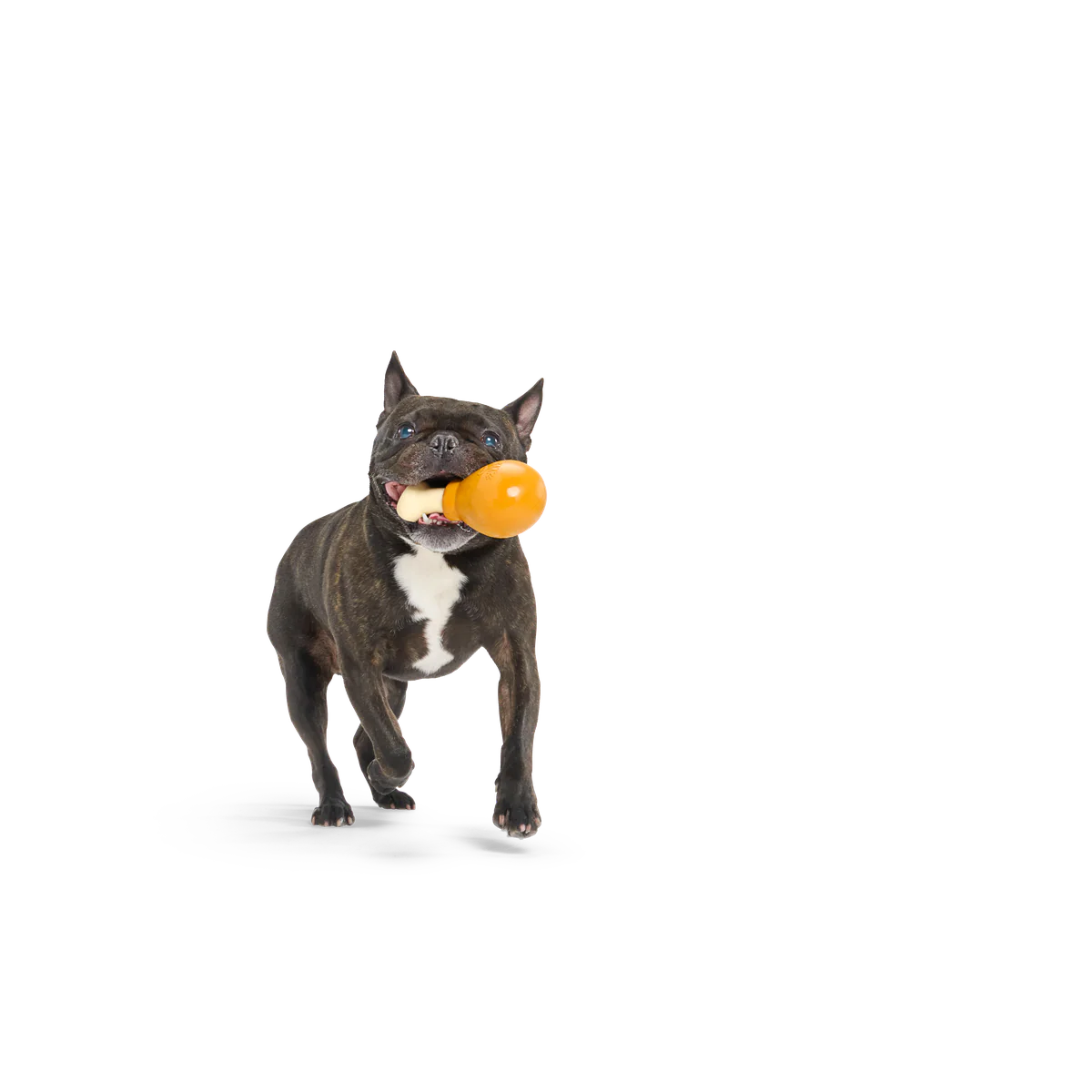 Turkey Day Drumstick Durable Super Chewer Gnaw Dog Toy - Image 4