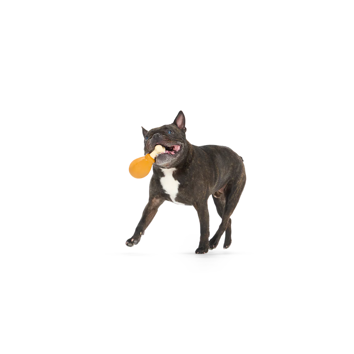 Turkey Day Drumstick Durable Super Chewer Gnaw Dog Toy - Image 5