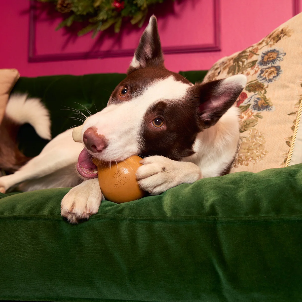 Turkey Day Drumstick Durable Super Chewer Gnaw Dog Toy - Image 7