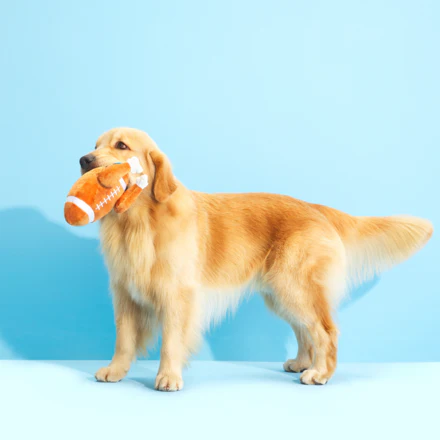 Turkey Day Football Plush Fetch Dog Toy - Image 2