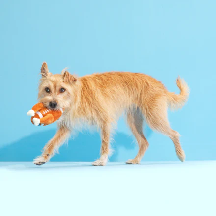 Turkey Day Football Plush Fetch Dog Toy - Image 3