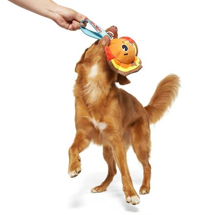 Turkey Tug Parade Durable Super Chewer Tug Dog Toy - Image 5