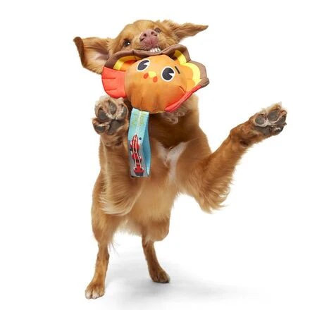 Turkey Tug Parade Durable Super Chewer Tug Dog Toy - Image 6