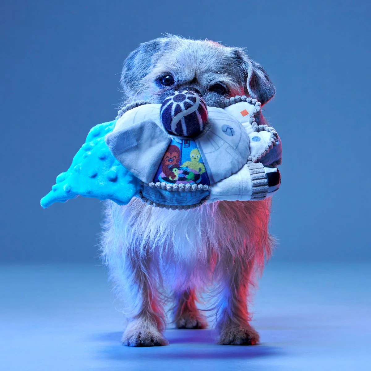 Ultimutt Milennium Falcon™ Plush Multi-Part + Fetch Dog Toy - Image 3