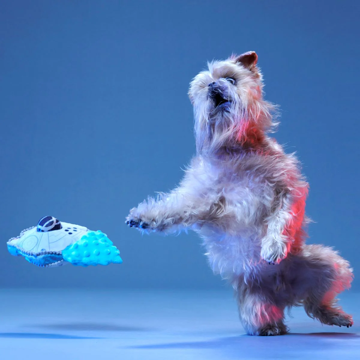 Ultimutt Milennium Falcon™ Plush Multi-Part + Fetch Dog Toy - Image 4