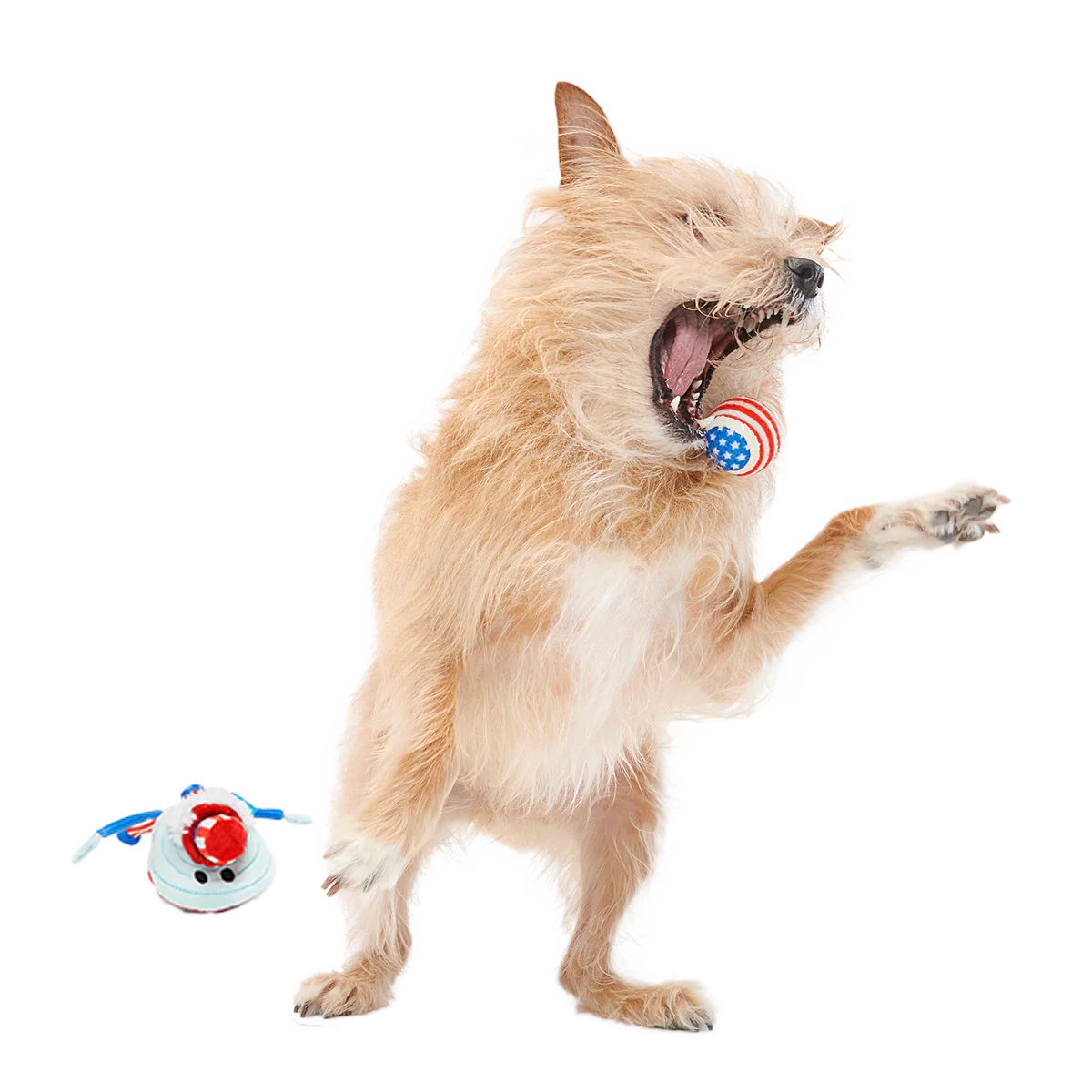 Uncle Clam Plush Multi-Part + Fetch Dog Toy - Image 2