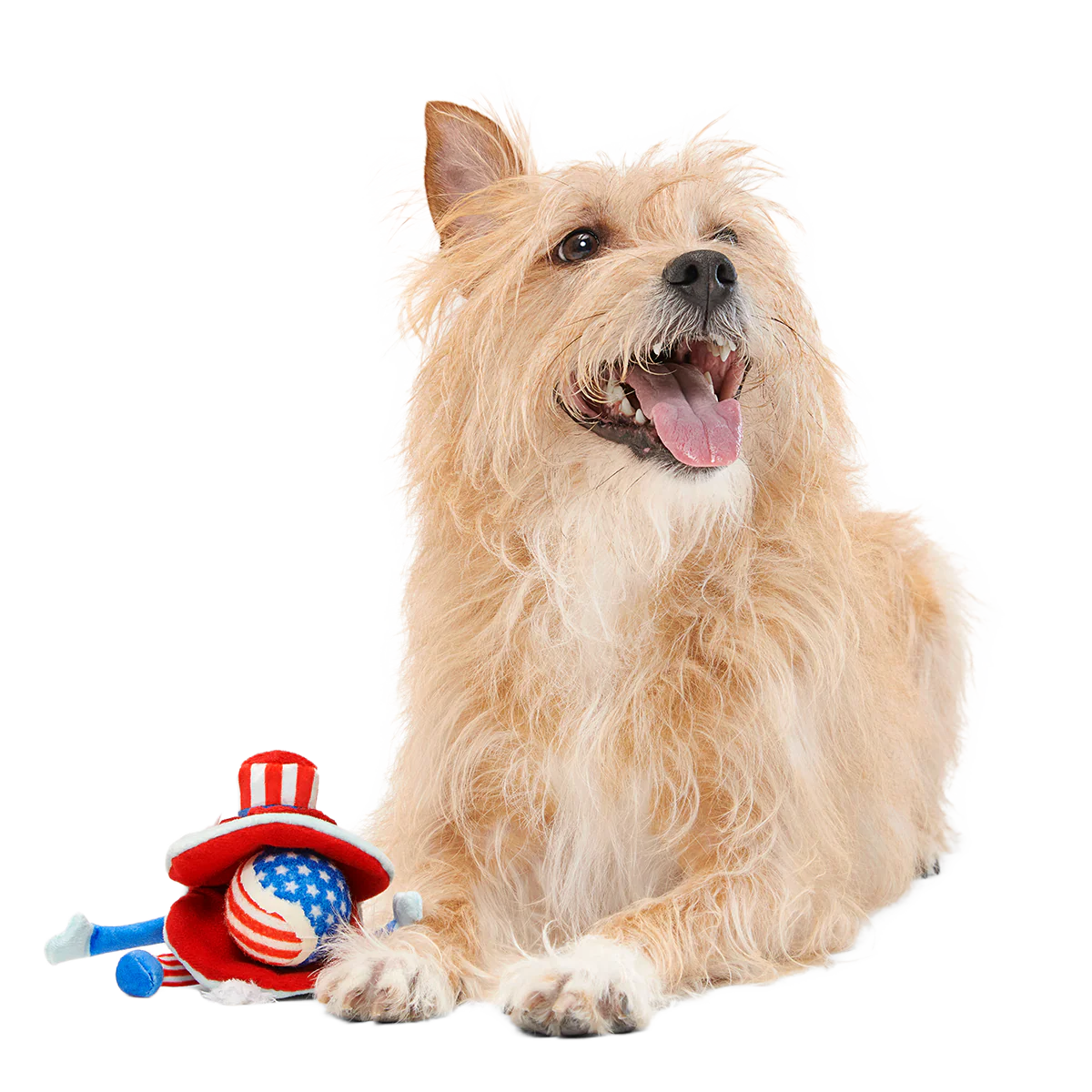 Uncle Clam Plush Multi-Part + Fetch Dog Toy - Image 4