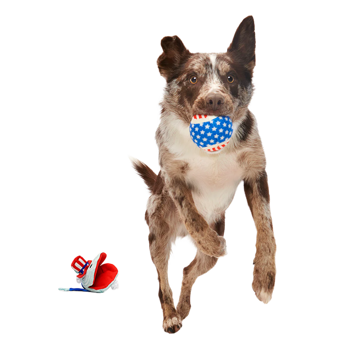 Uncle Clam Plush Multi-Part + Fetch Dog Toy - Image 5