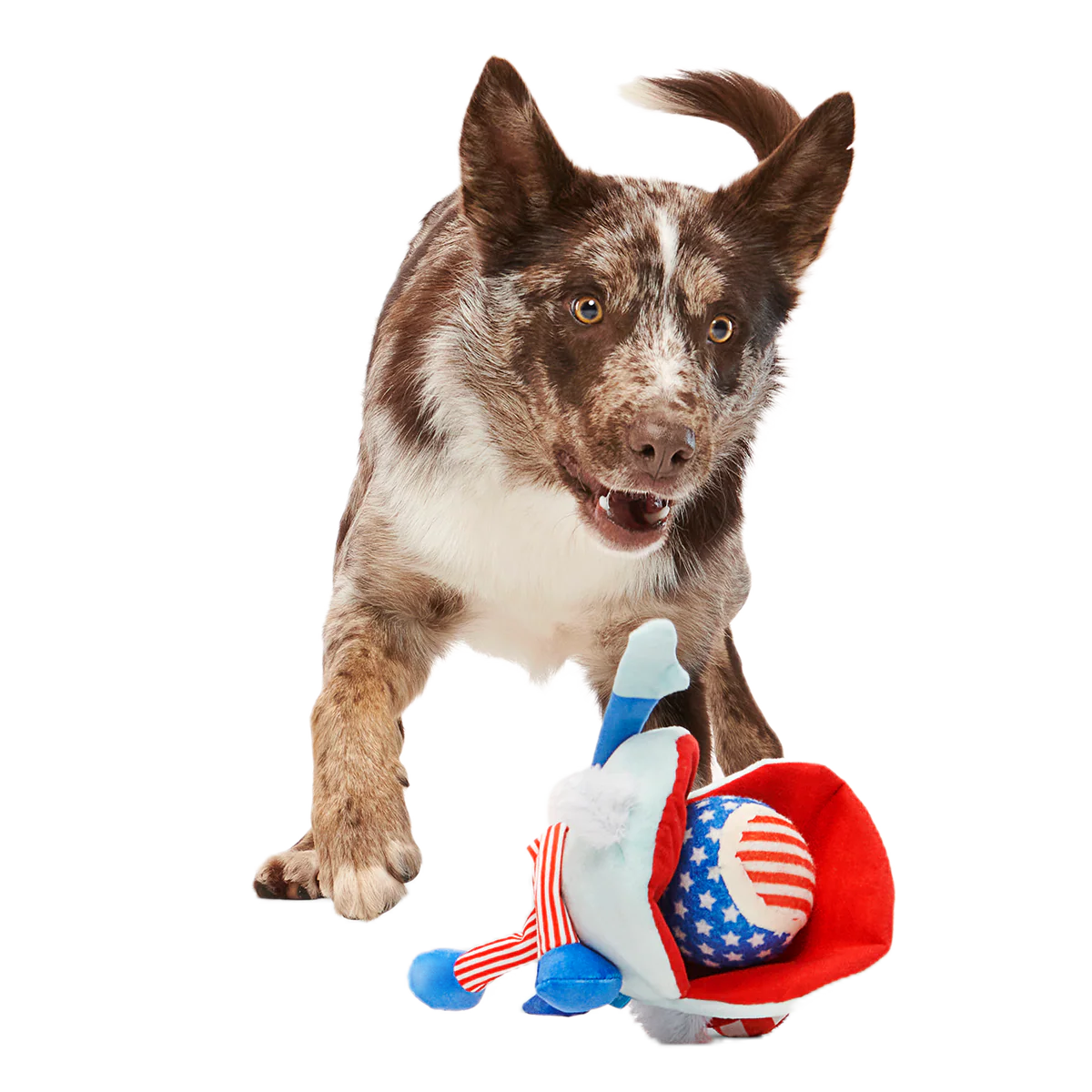 Uncle Clam Plush Multi-Part + Fetch Dog Toy - Image 6