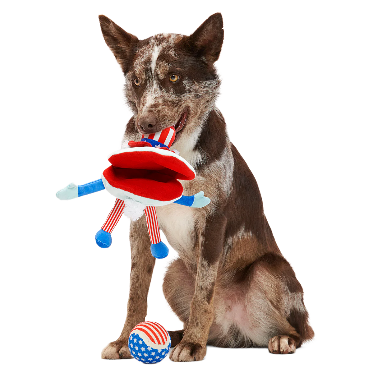 Uncle Clam Plush Multi-Part + Fetch Dog Toy - Image 7