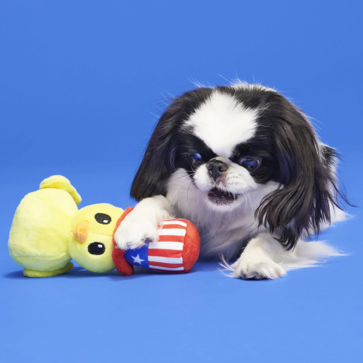 Uncle Duck Plush Tug Dog Toy - Image 3
