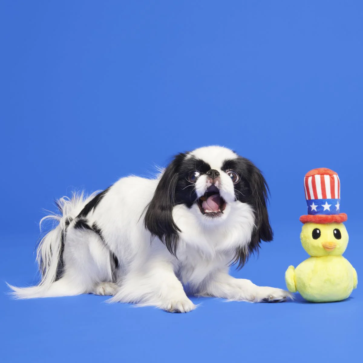 Uncle Duck Plush Tug Dog Toy - Image 4