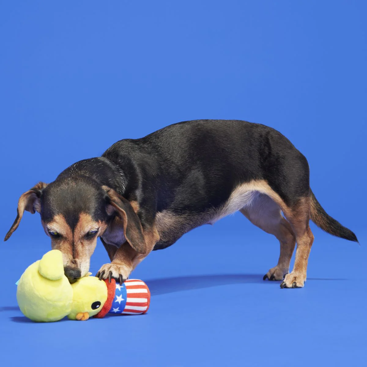 Uncle Duck Plush Tug Dog Toy - Image 5