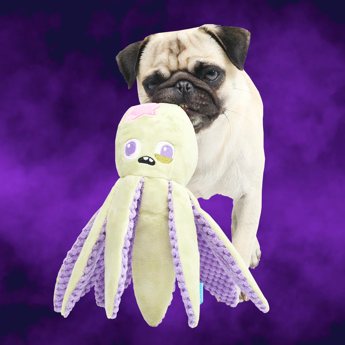 Undead Ollie the Octopus Club - Image 4