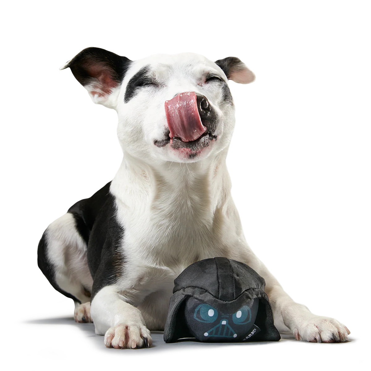Power of the Bark Side Super Chewer Durable 2-in-1 + Fetch Dog Toy - Image 4