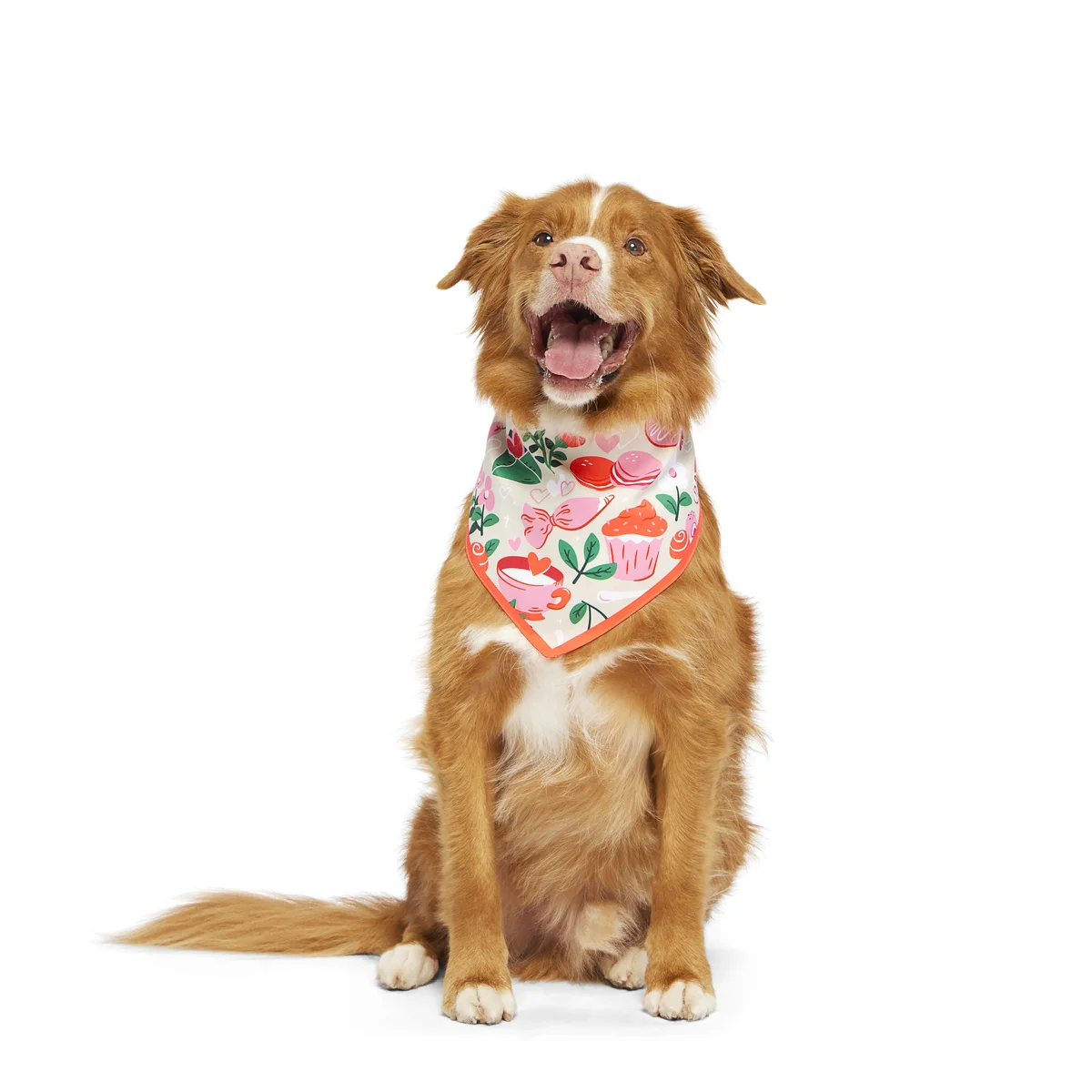 Valentine's Day Dog Bandana - Image 3