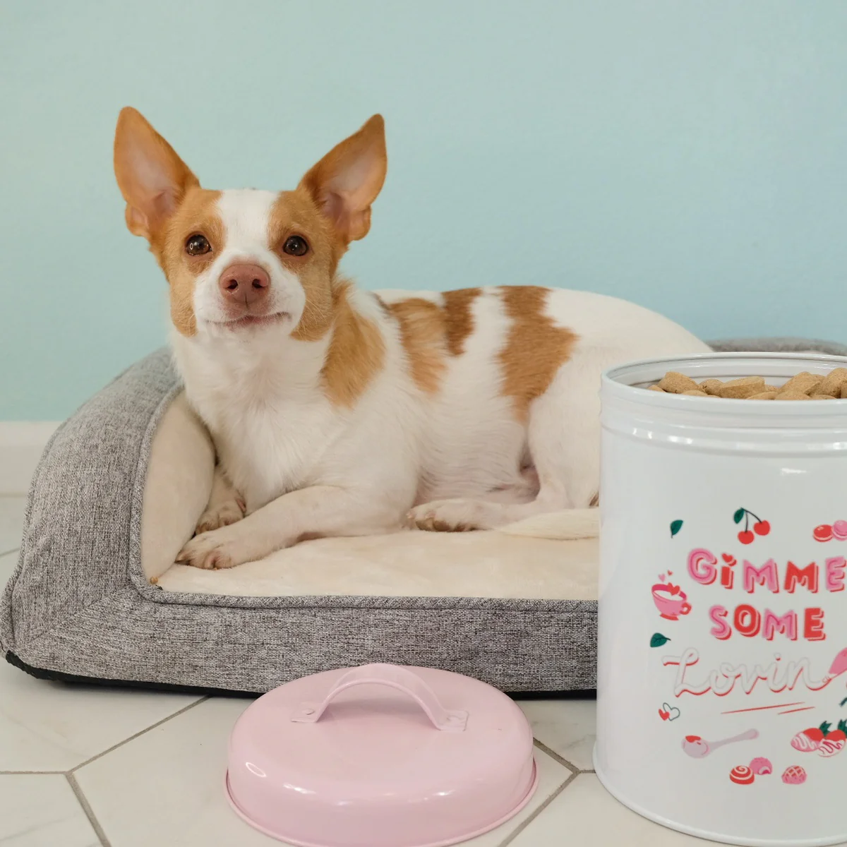 Valentine's Day Dog Treat Jar - Image 3