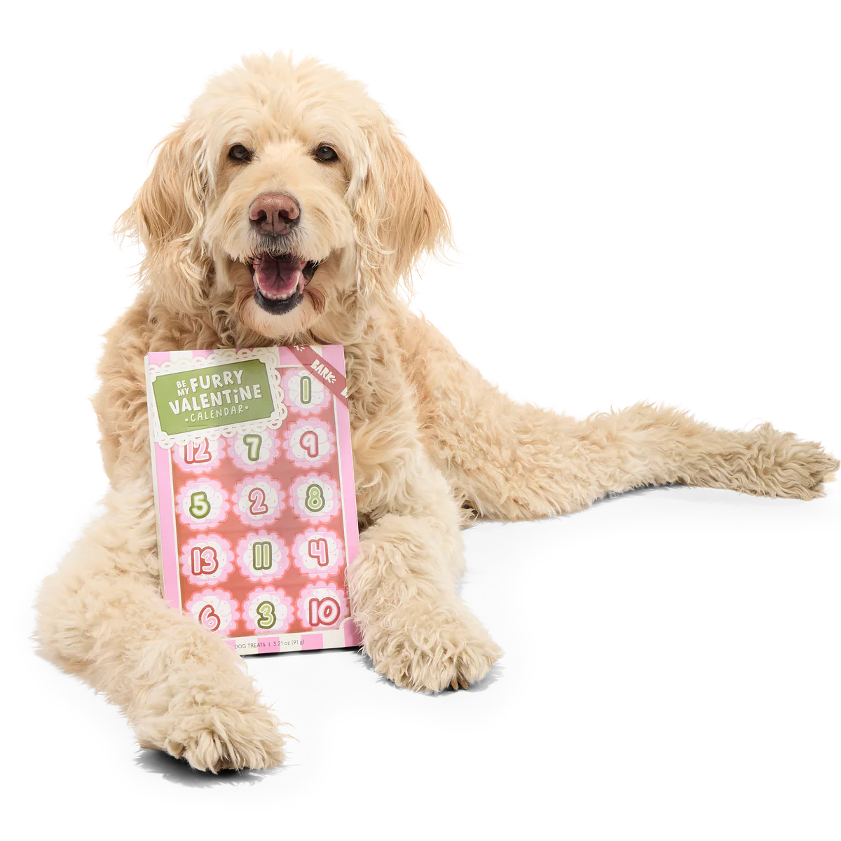 Be My Furry Valentine Treat Calendar Vegetarian Hard & Crunchy Dog Treats - Image 2