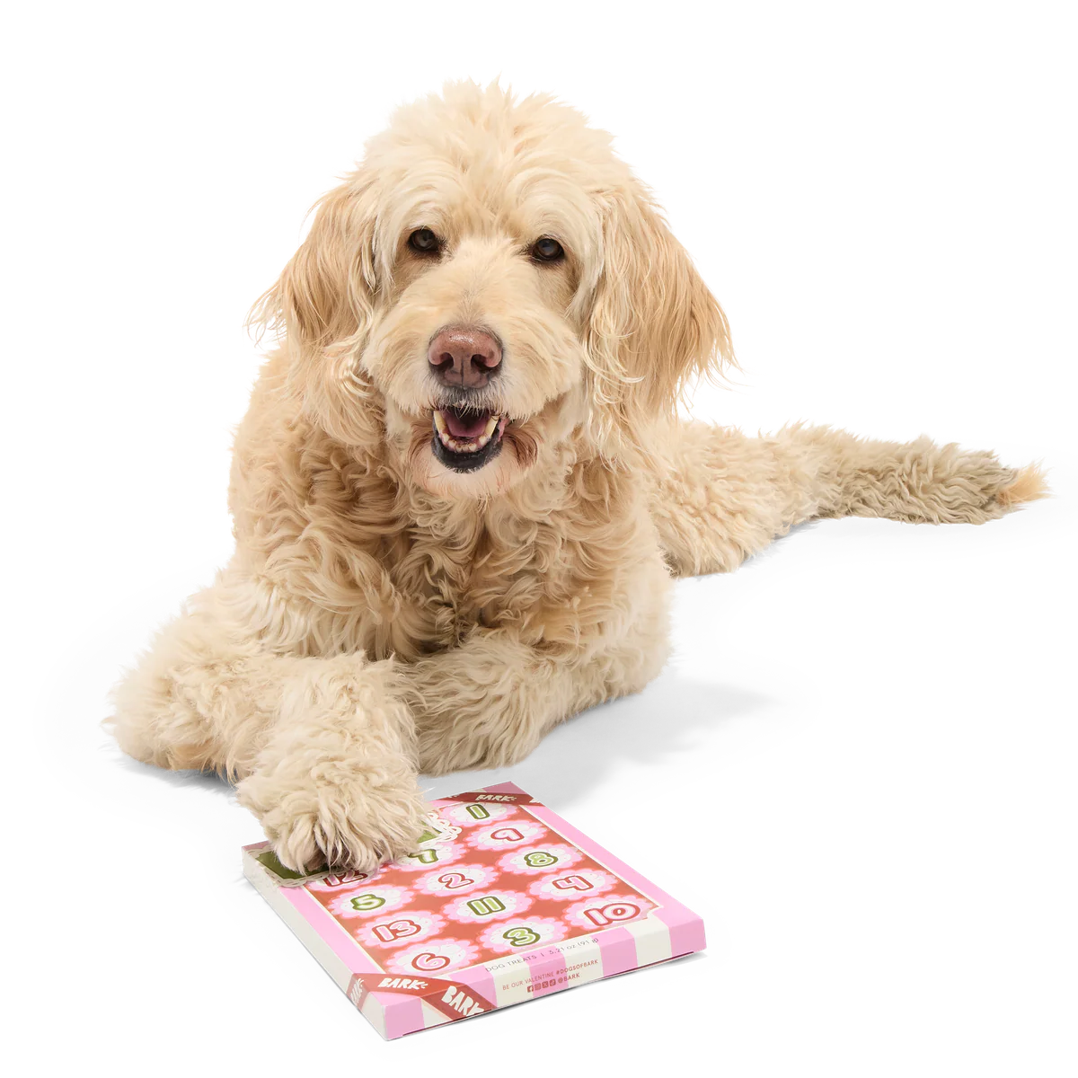 Be My Furry Valentine Treat Calendar Vegetarian Hard & Crunchy Dog Treats - Image 4